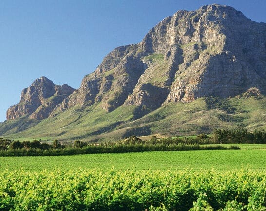 Kurztrip Kapstadt Individuell (H013)