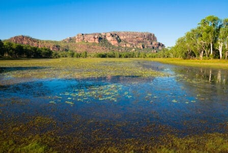 See mit Pflanzen und Felsen mit blauem Himmel