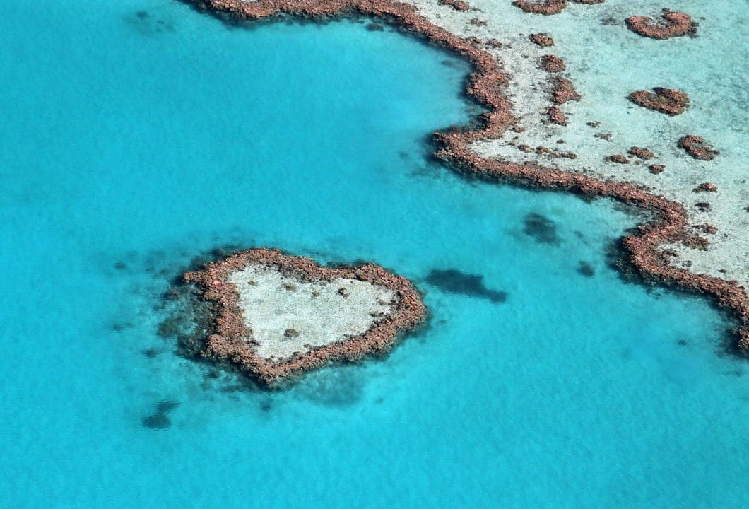 Great Barrier Reef – Das gigantische Korallenriff