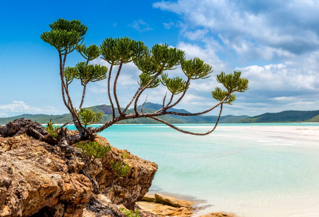 Whitsundays - spektakuläre Inselwelten