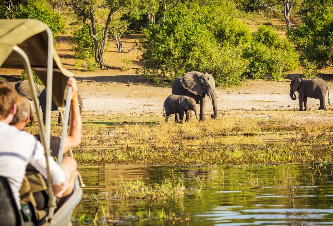 Chobe Nationalpark – Paradies der Elefanten