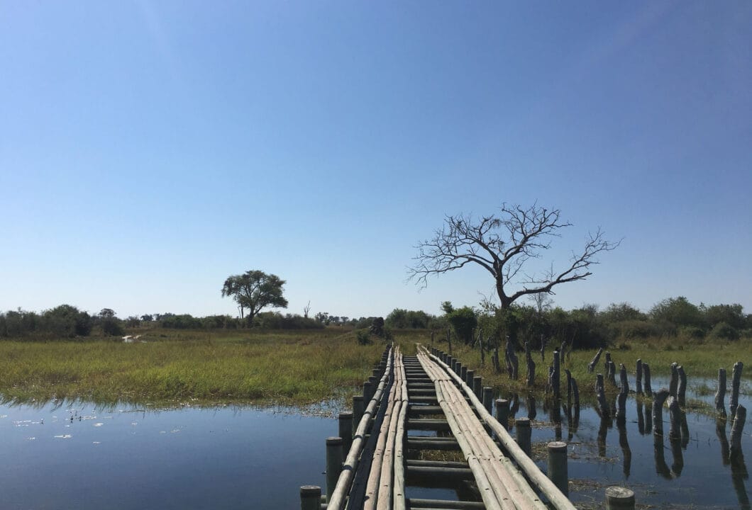 Moremi Wildreservat – Herz des Deltas