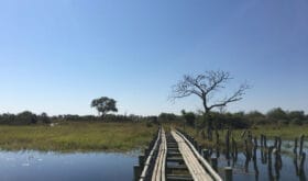Moremi Wildlife Reserve, Okavango Delta, Botswana