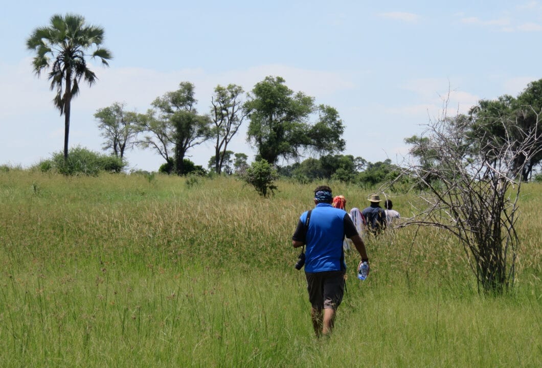 Gruppenreisen in Botswana