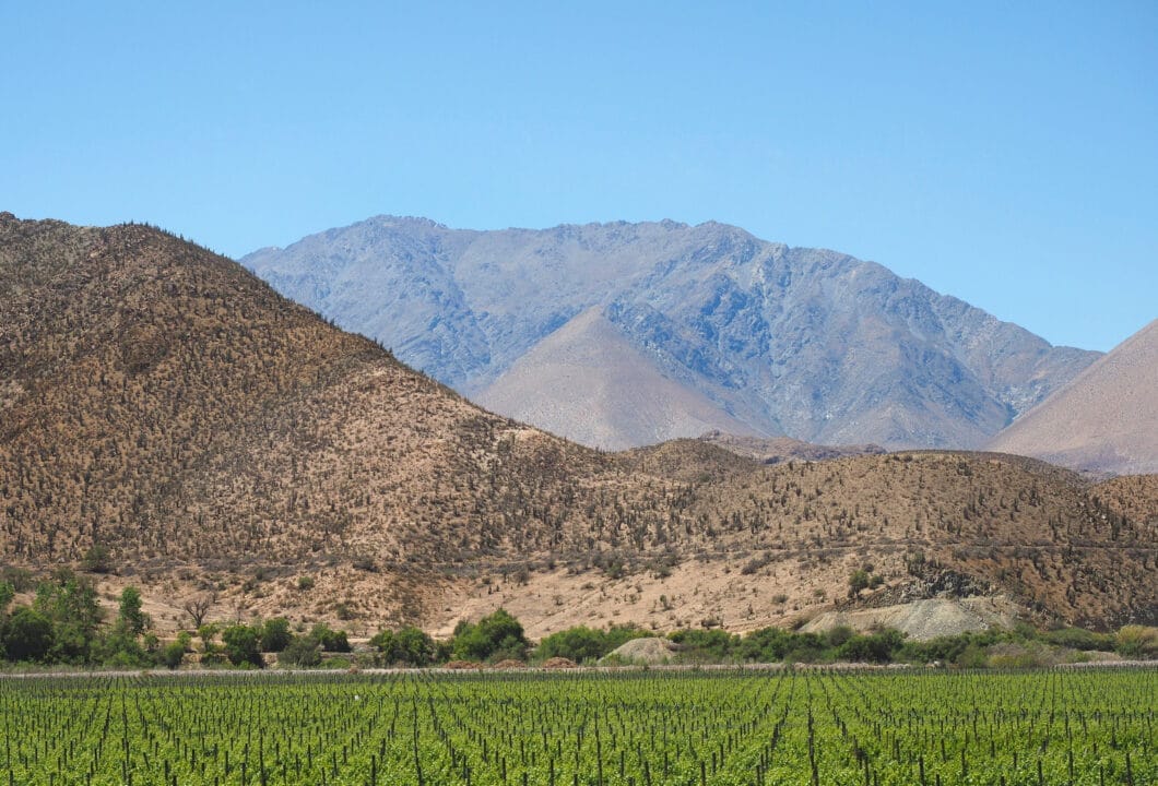 La Serena & Elqui Tal – Wein & Sternenbeobachtung