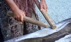 Cook Islander man plays on a large wooden log Pate drum instrument in Rarotonga, Cook Islands.Rael people. Copy space