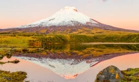 CheckIn:14.06.2017
Valid:31.03.2019
Changed:29.08.2018