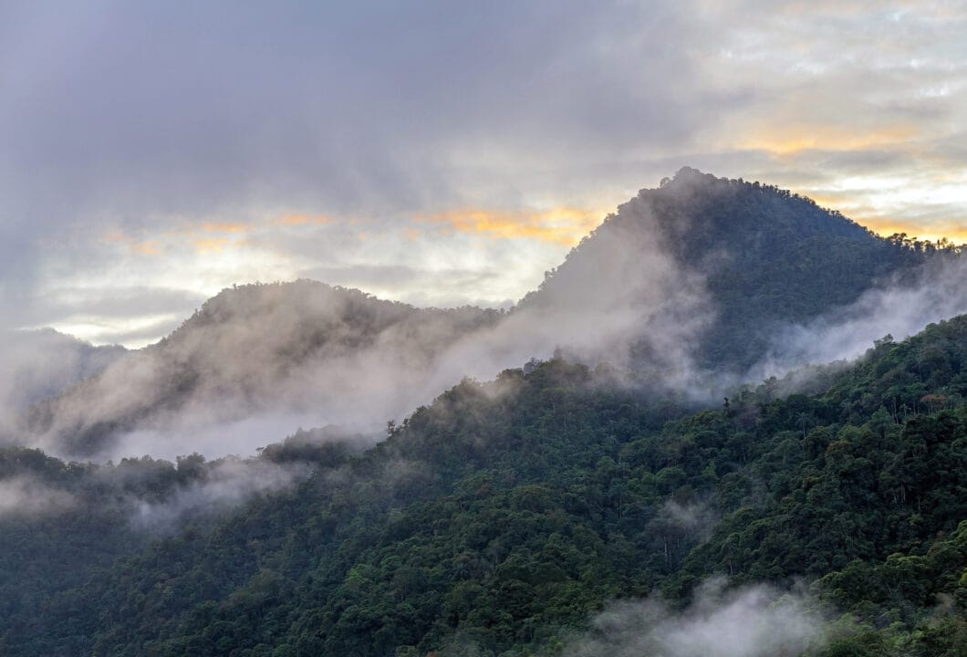 Mindo – Vogelbeobachtung im Nebelwald