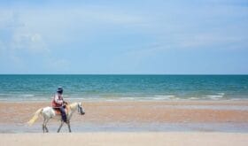 Man riding the white horse on the beach among beautiful seascape of Huahin, Thailand