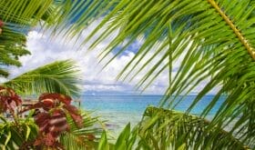 Tropical landscape, Huahine island, French Polynesia South Pacific