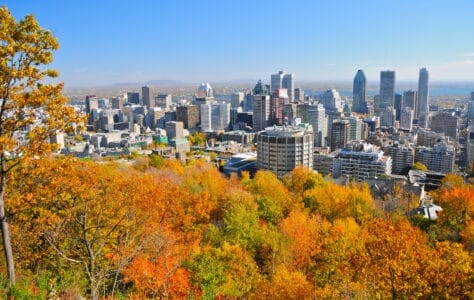 „Panoramablick über eine herbstlich gefärbte Baumlandschaft auf die Skyline von Montréal mit zahlreichen Hochhäusern unter klarem, blauem Himmel.“