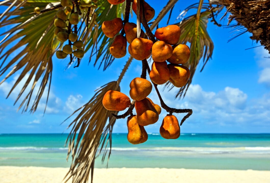 Diani Beach – Kenias Traumstrand