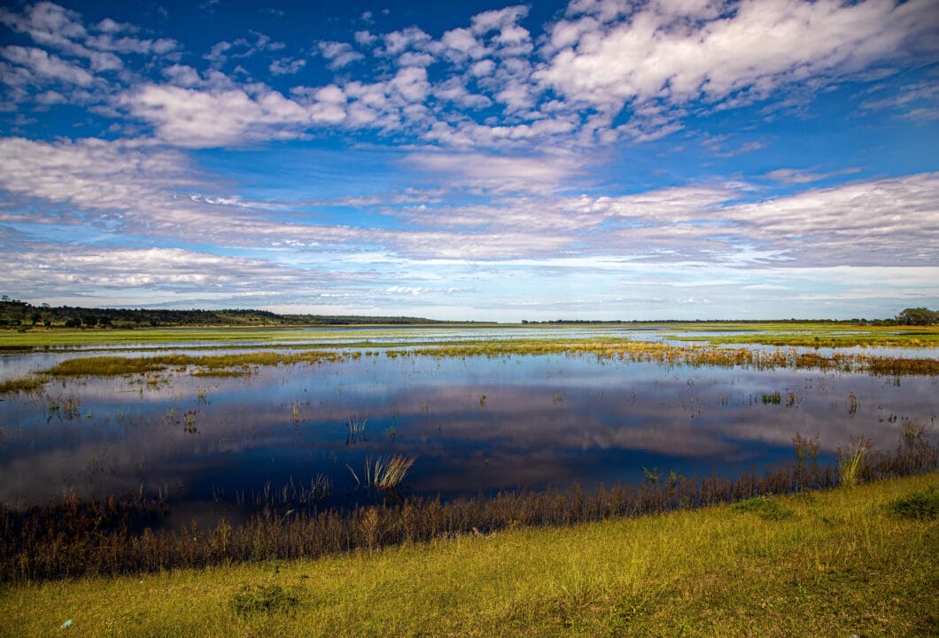 Zambezi (ehem. Caprivi) Region - Oase im Norden