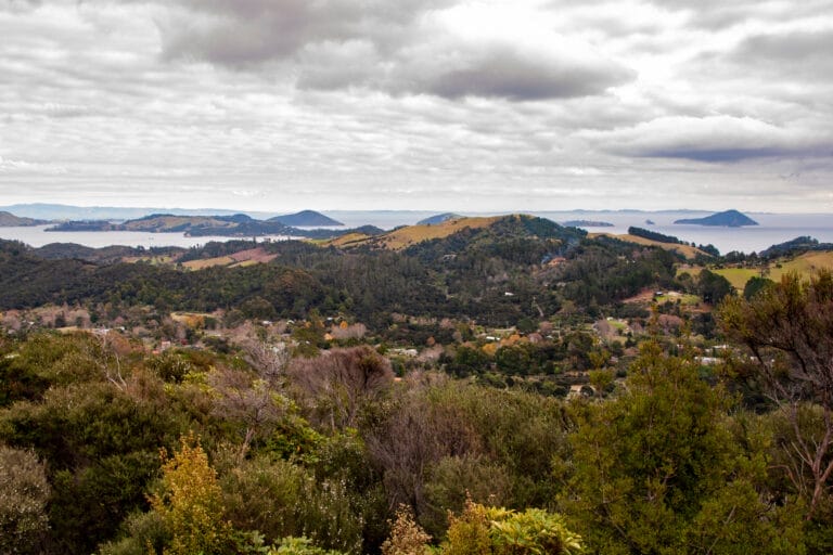 Erlebnis Neuseeland auf Schiene und Straße (W001)