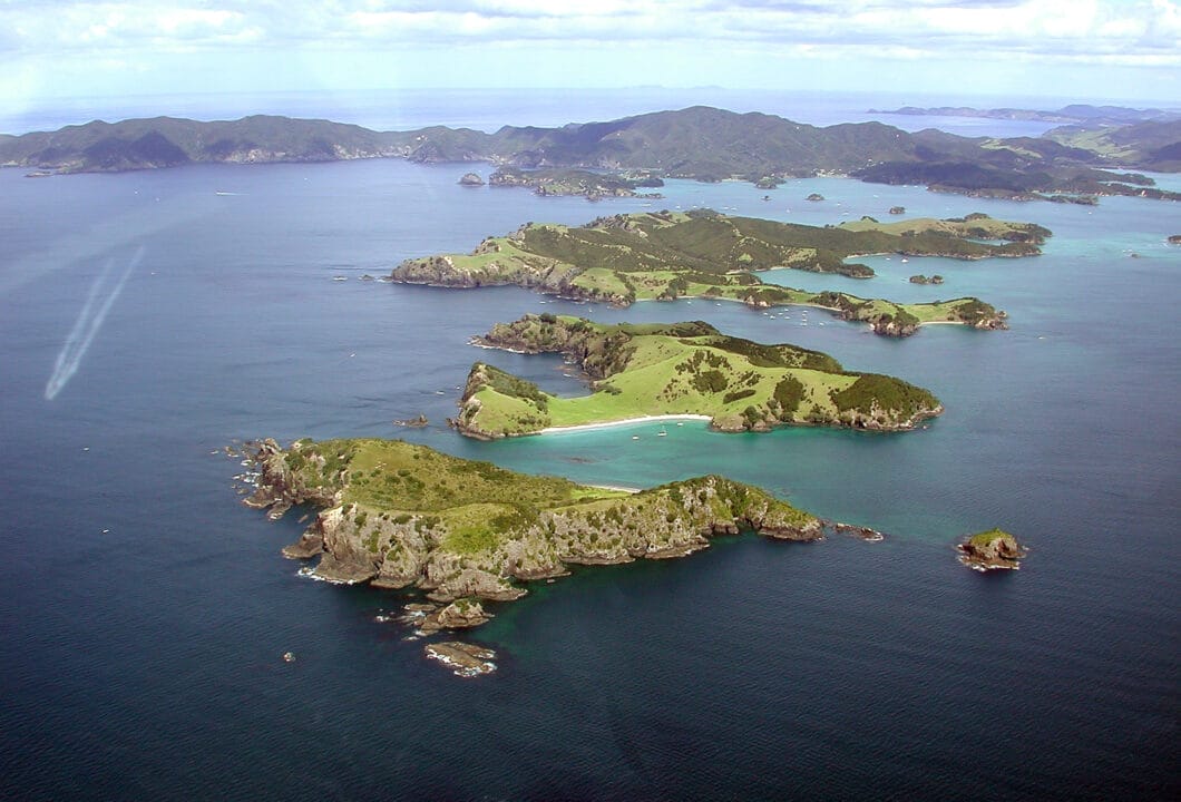 Bay of Islands - Dorado der Meereslebewesen