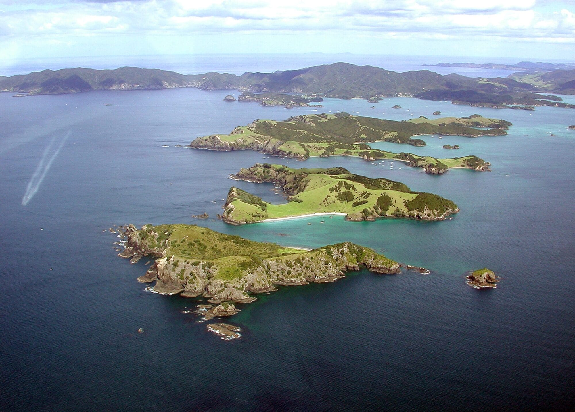 Bay of Islands - Dorado der Meereslebewesen