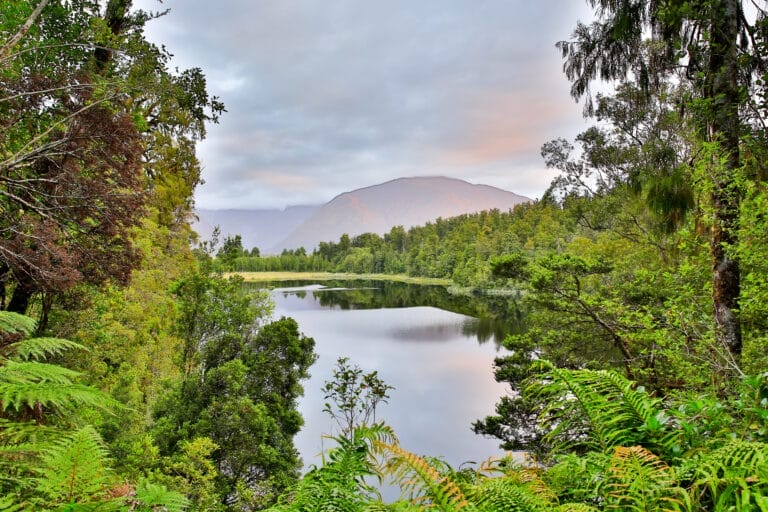 Neuseeland im Zeichen der Natur in exklusiver Kleingruppe (AI001)