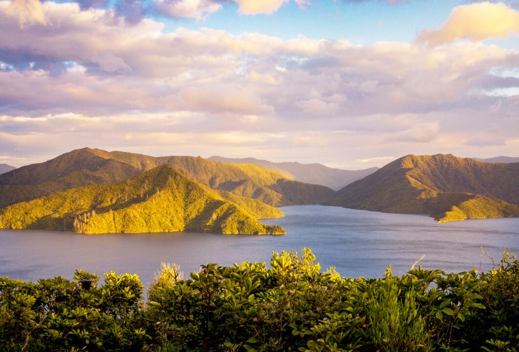Marlborough Sounds & Weinregion – Wandern und Wein