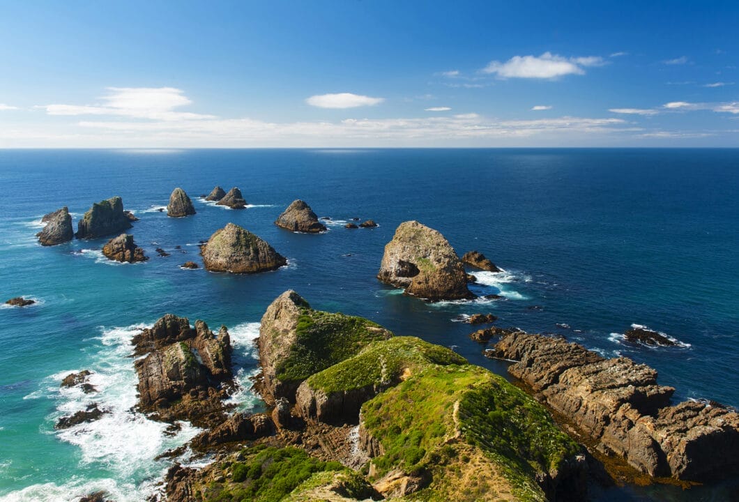 Otago Halbinsel - einzigartige Tierwelt