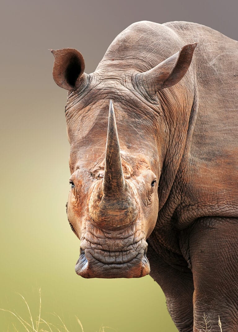 Faszination Südafrika als Privattour (AE010)