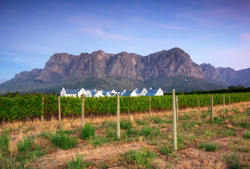 Winelands- historische Weingüter vor Bergpanorama