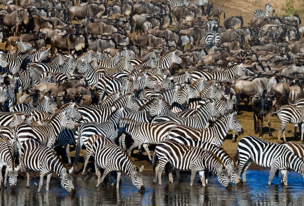 Rundreisen in Tansania