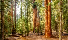 CheckIn:04.07.2017
Valid:31.03.2019
Changed:04.07.2017