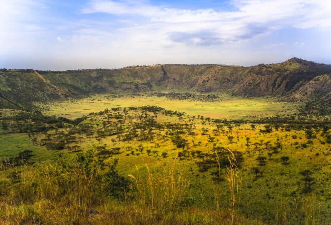 Queen Elizabeth NP - Schlafende Baumlöwen