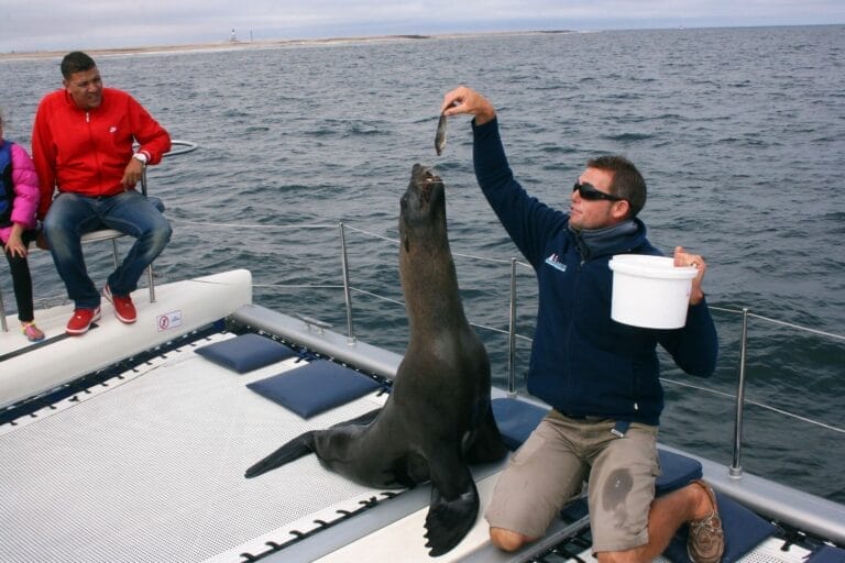 Namibias Klassisches Kaleidoskop in Komfort (W001)