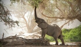 Mietwagenreise in Namibia