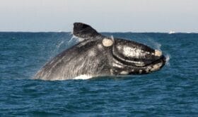 CheckIn:25.04.2014
Valid:31.10.2016
Changed:25.04.2014
4300562-1604811
4300562-1611495