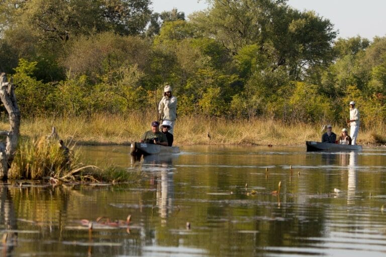 Safari von Kapstadt über Namibia und Botswana bis zu den Victoriafällen (N003)