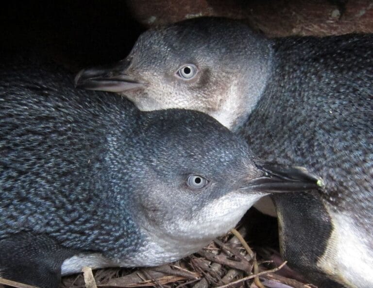 Neuseelands vielfältige Südinsel - kompakt & intensiv (PP005)