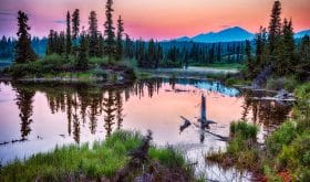 Aktivurlaub in Alaska