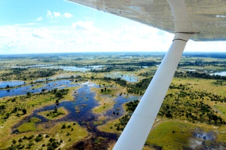 Blick aus einem Kleinflugzeug auf das grüne, wasserreiche Okavango-Delta mit Grasflächen, Wasserarmen und kleinen Inseln unter klarem Himmel.