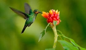 CheckIn:08.05.2017
Valid:31.03.2019
Changed:08.05.2017