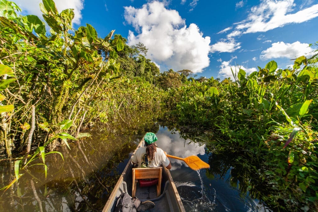 Narrow Waterway, Rio Napo Riverside, Yasuni National Park, Ecuador, South America