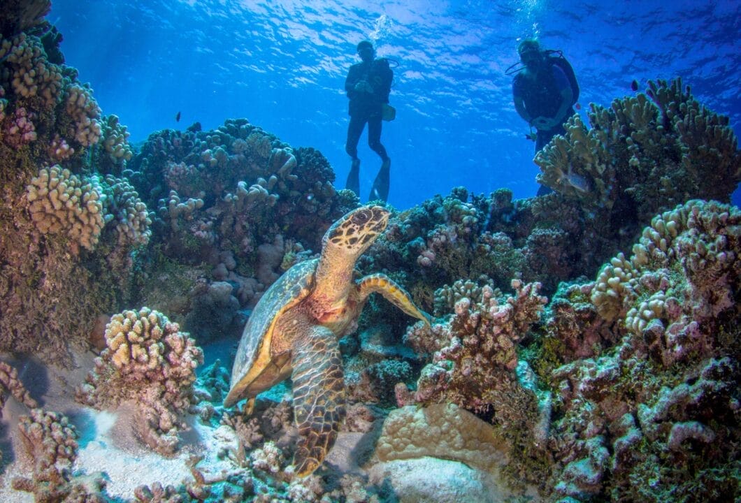 Ausflüge auf Ihrer Französisch Polynesien-Reise