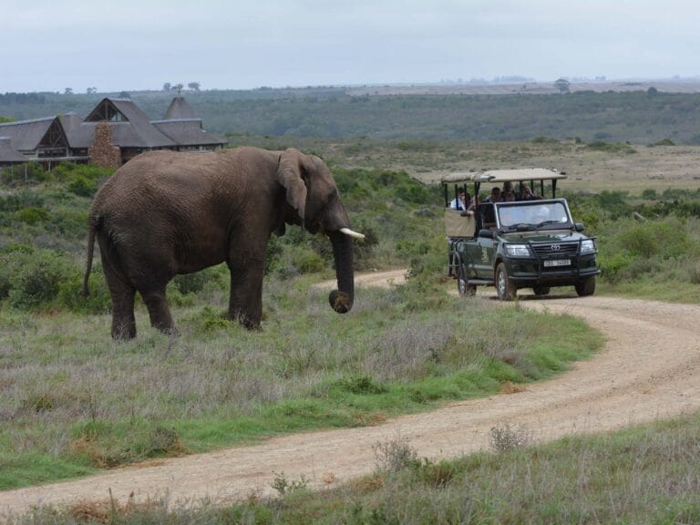 Südafrika - Kap Kaleidoskop individuell im Mietwagen (S001)