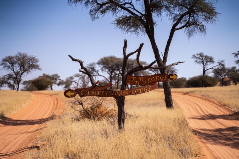 Außergewöhnliches Namibia im Mietwagen