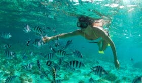 CheckIn:09.08.2016
Valid:31.12.2017
Changed:09.08.2016