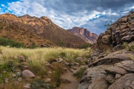 „Wüstenlandschaft im Damaraland, Namibia mit Brandberg-Massiv, Felsen und trockenem Gras unter bewölktem Himmel – ideal für Wanderungen und Naturfotografie.“