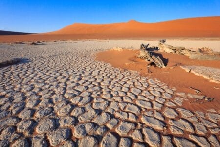 „Rissiger Boden und vertrocknete Baumstämme vor hohen Sanddünen in der Namib-Wüste, Namibia – eindrucksvolle Wüstenlandschaft unter blauem Himmel.“