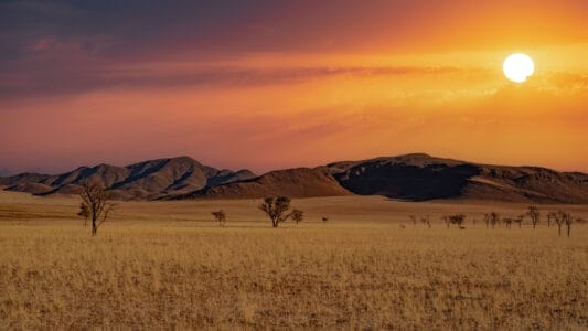 „Savannenlandschaft in Namibia bei Sonnenuntergang mit grasbewachsener Ebene, vereinzelten Bäumen und Bergen unter orangefarbenem Himmel – ideal für Naturreisen und Landschaftsfotografie.“