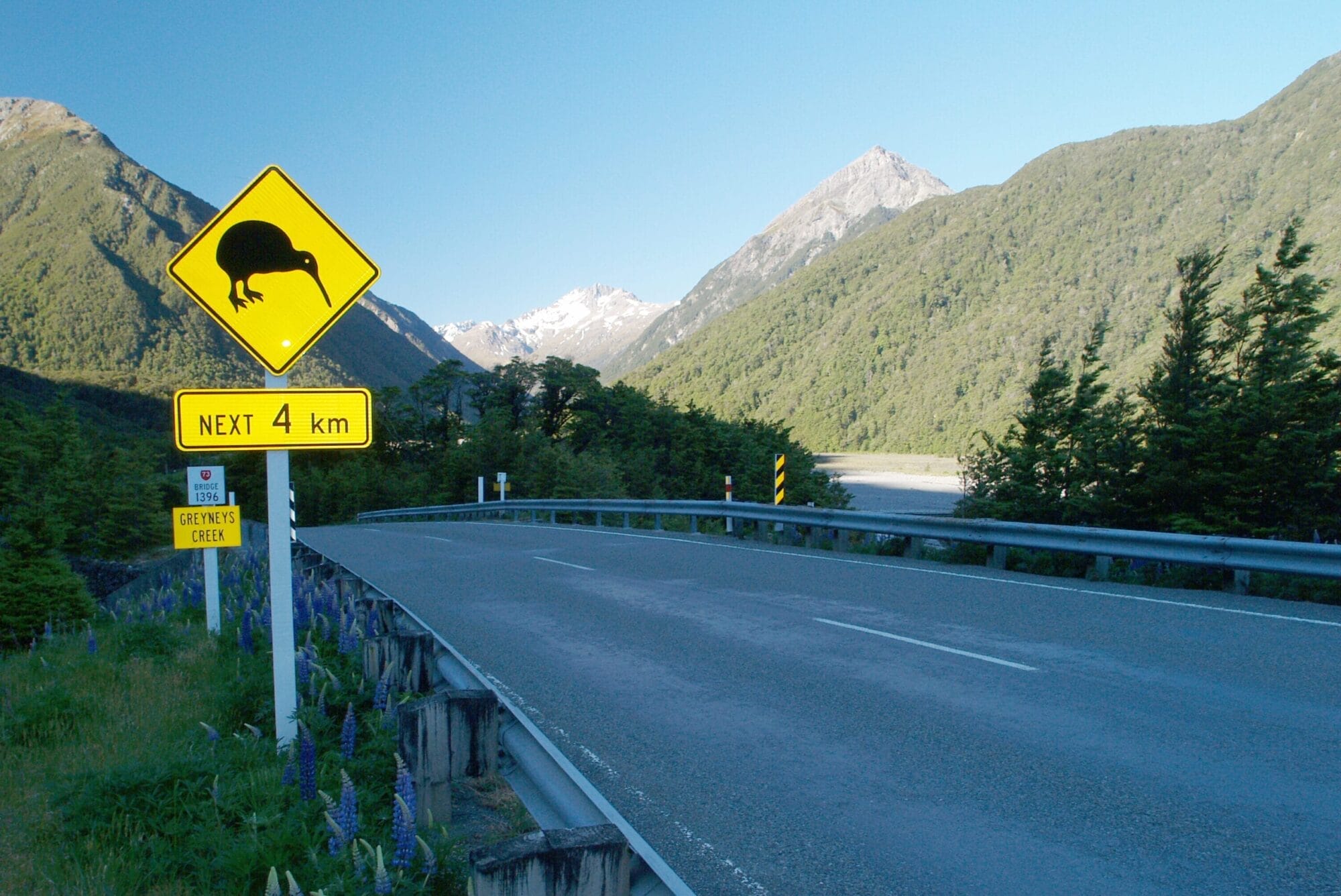 Straße in Neuseelands Alpenregion mit Kiwi-Warnschild und Blick auf grüne Berge und schneebedeckte Gipfel entlang einer landschaftlich reizvollen Route.