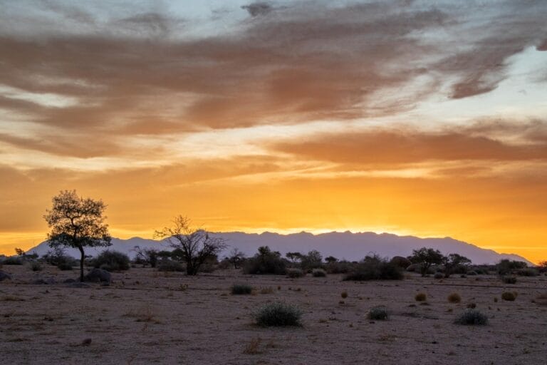 Außergewöhnliches Namibia im Mietwagen (S024)
