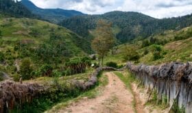 Road in mountains, New Guinea