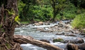 A peaceful river in Papua New Guinea