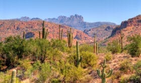 CheckIn:04.07.2017
Valid:31.03.2019
Changed:04.07.2017