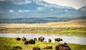 CheckIn:23.09.2016
Valid:31.03.2018
Changed:23.09.2016